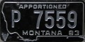 Nummernschilder / Kfz-Kennzeichen USA 1983 1980er Montana MT
